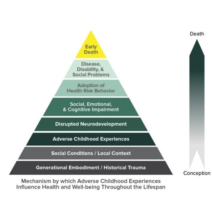 Diagram for simple and complex trauma